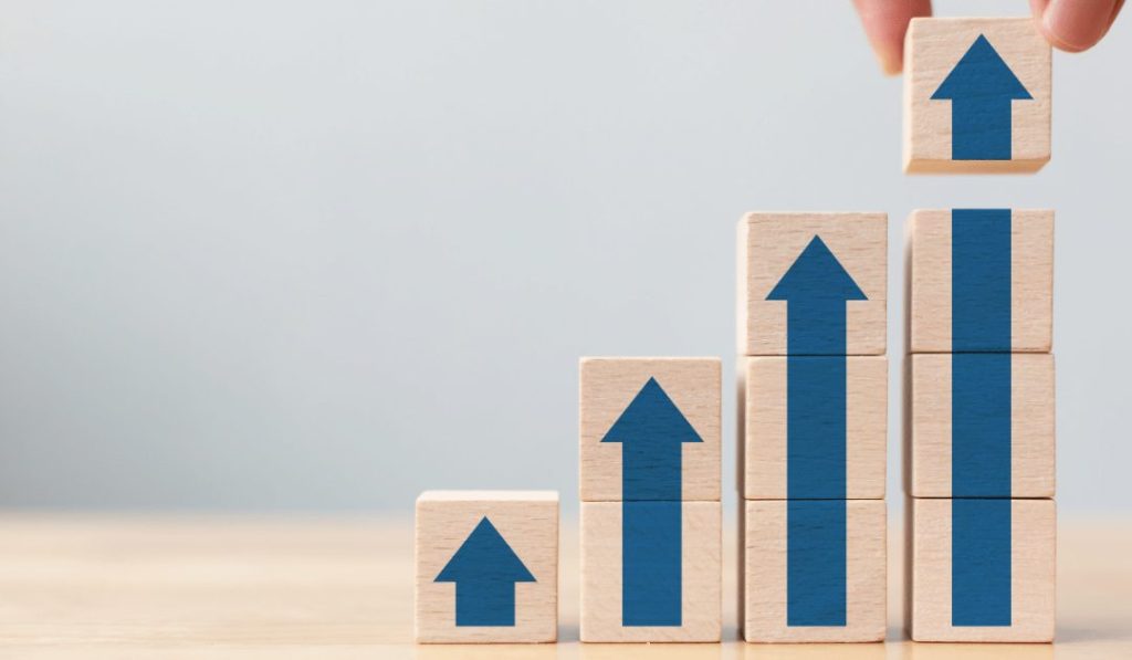 Maximising Revenue Strategies