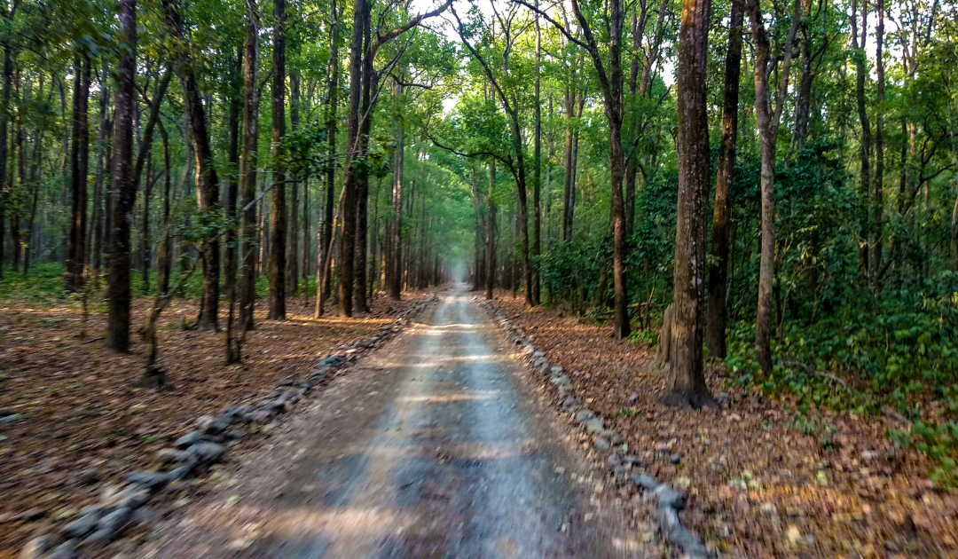 Road Trip to Nainital